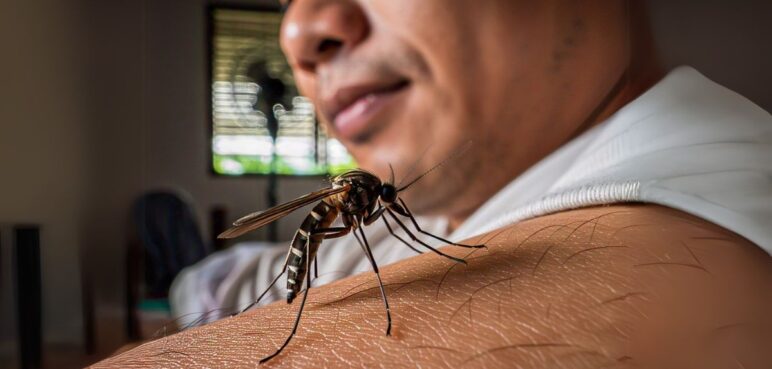 Autoridades intensifican medidas para prevenir el dengue en Valle del Cauca
