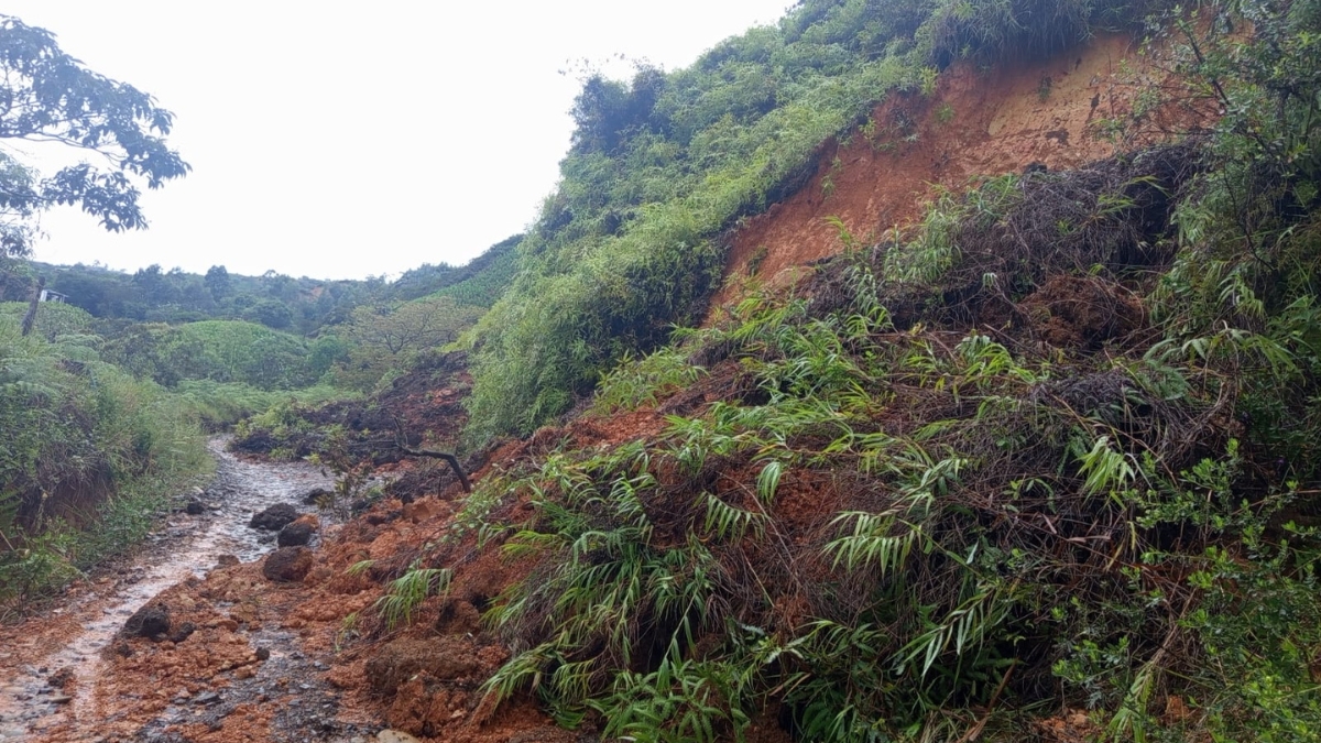 ¿Hasta cuando irá la temporada de lluvias en el Valle del Cauca? Pronóstico según la CVC