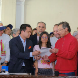 ¿Cuánto tiempo tiene el senado para decidir sobre la consulta popular?