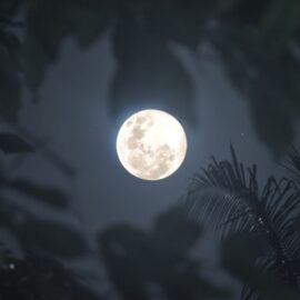 Súper luna de noviembre: Así podrá apreciarla e incluso fotografiarla