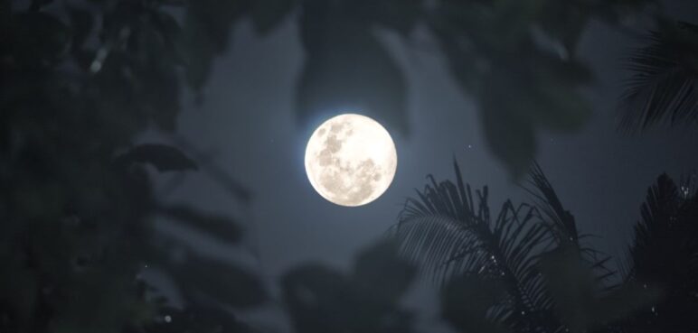 Súper luna de noviembre: Así podrá apreciarla e incluso fotografiarla