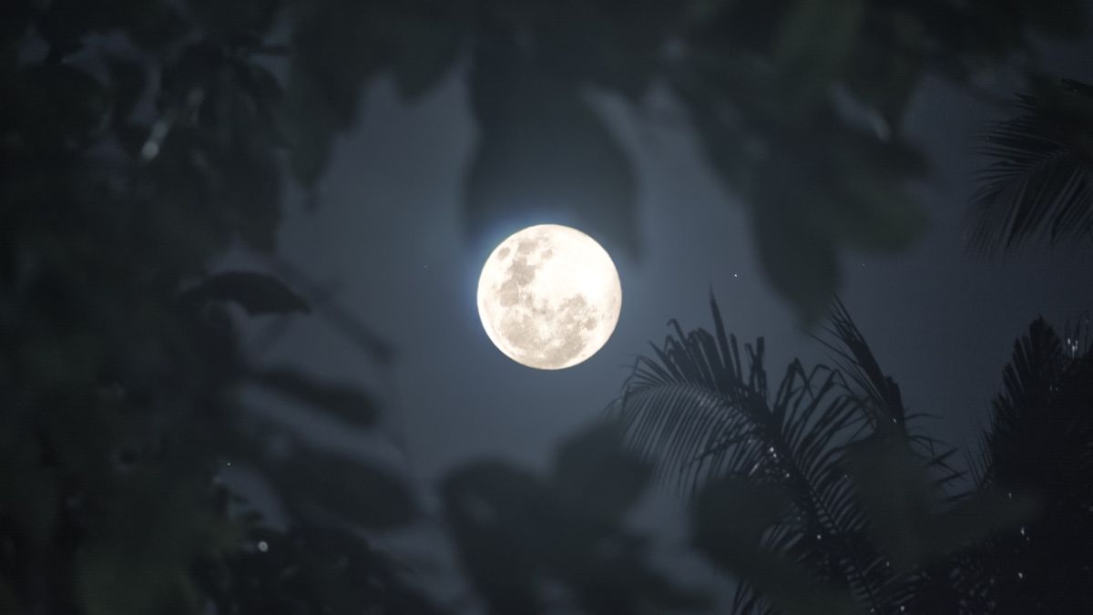 luna