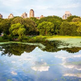 El fenómeno que está hundiendo ciudades enteras; es invisible pero real