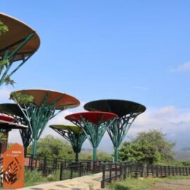 Polémica por presunta apertura incompleta de Ecoparque COP16; anuncian investigaciones