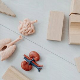 ¿Quieres ser donante de órganos? Min Salud despeja dudas