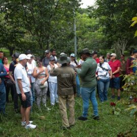 ¿Cómo visitar el Ecoparque de la Biodiversidad Cop16? uno de los nuevos 'pulmones' de Cali
