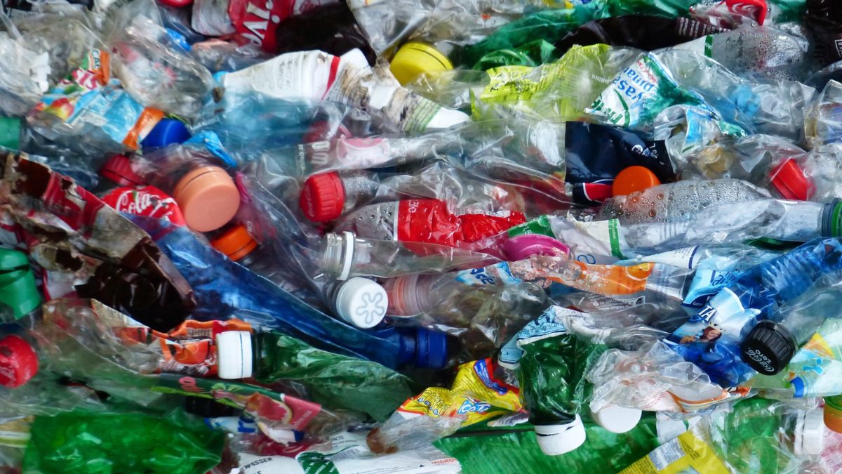 Recicladores de Cali: héroes ambientales que impulsan la sostenibilidad urbana