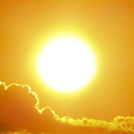 Cinco cosas que jamás debe dejar en su carro durante una ola de calor