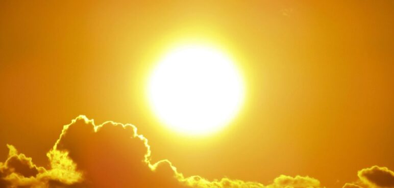 Cinco cosas que jamás debe dejar en su carro durante una ola de calor