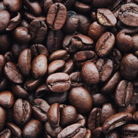 Así se produce Café Cayana, un café colombiano libre de pesticidas