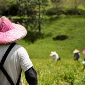 Summit Regeneradores 2025: transformación agroalimentaria desde América Latina