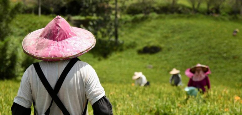 Summit Regeneradores 2025: transformación agroalimentaria desde América Latina