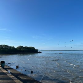 Reportan normalidad en el Pacífico colombiano: este es el panorama tras la alerta por tsunami