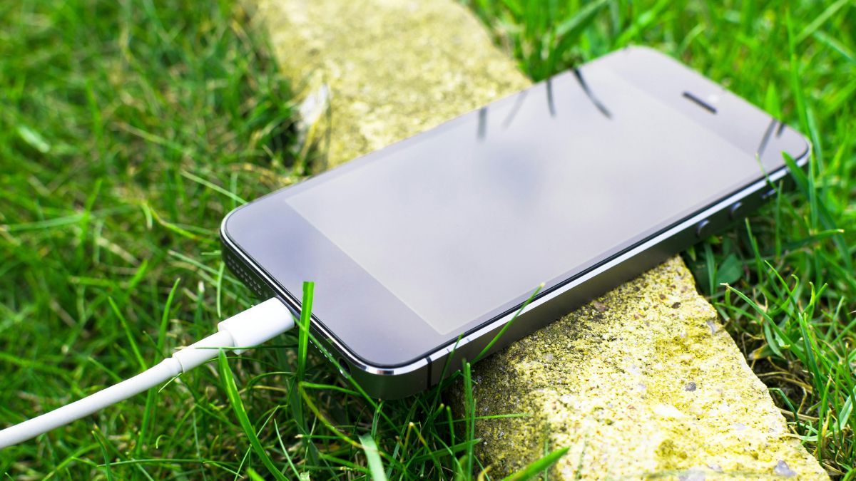 caragar celular - bateria celular