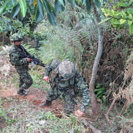Crisis humanitaria en el Valle por desplazamientos masivos en Jamundí y Buenaventura