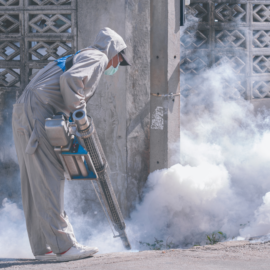 Estas son las fechas y barrios donde habrá fumigación contra el dengue en Cali