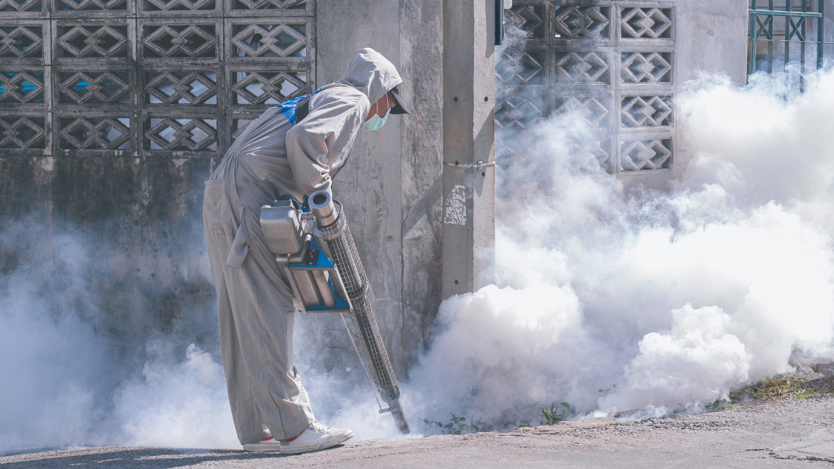 Estas son las fechas y barrios donde habrá fumigación contra el dengue en Cali