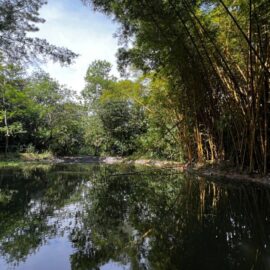 Humedales en Charco Azul y El Pondaje: comunidades trabajan para su conservación