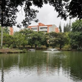 Los humedales, cruciales en la regulación hídrica y albergue de ecosistemas de Cali