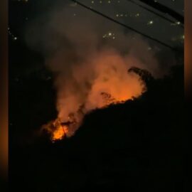 Controlado incendio forestal en La Buitrera, sur de Cali
