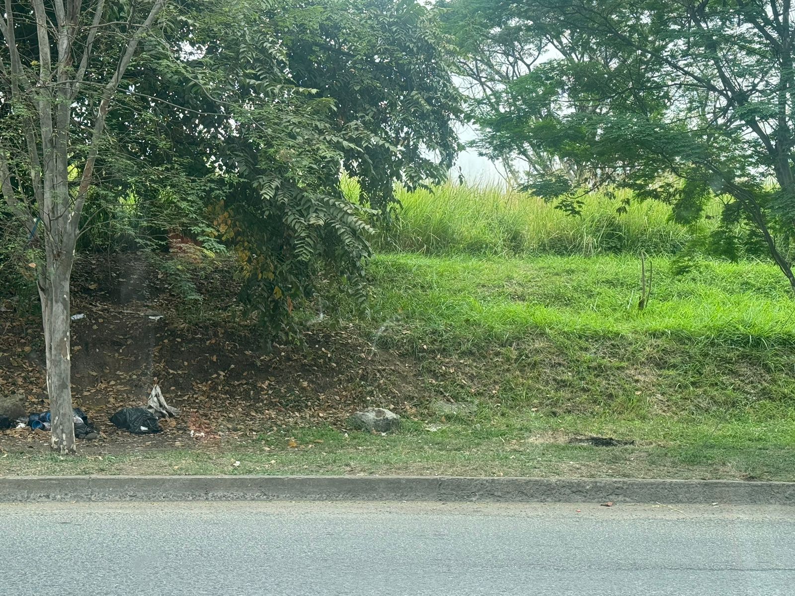 Vecinos denuncian lote abandonado en el norte de Cali que es foco de inseguridad