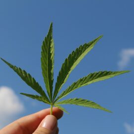 MinComercio impulsa mesa para consolidar industria del cannabis medicinal e industrial en Colombia