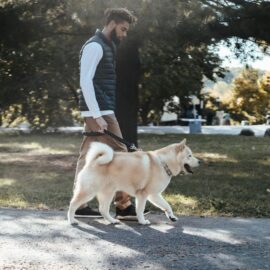 ¿Qué es la Ley Kiara? Ojo dueños de perritos a estas nuevas medidas; trae multas