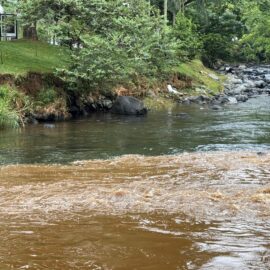 Impactantes imágenes: Los males que están 'ahogando' al río Cali; no solo es minería