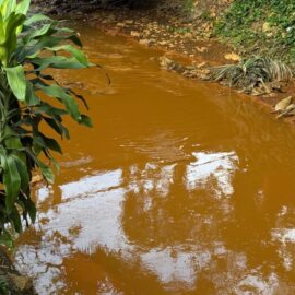 Alerta por contaminación en la quebrada El Chocho: estaría afectando también al río Cali