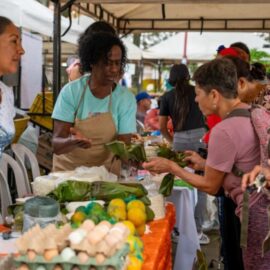 Palmira y la Fiesta Nacional de la Agricultura 2025: conozca la programación