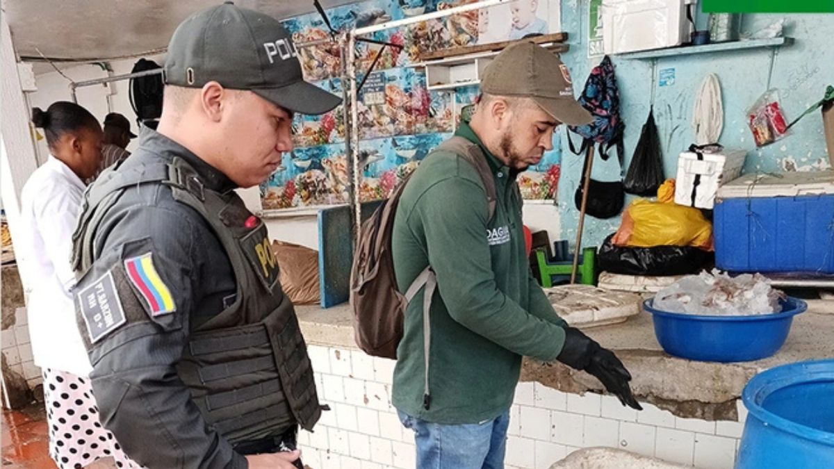 Instalarán 30 cámaras de fotodetección en Cali: estos son los puntos en donde estarán ubicadas