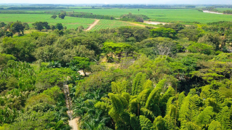 Enfrentamientos y amenazas bloquean restitución de tierras: 172.000 familias afectadas