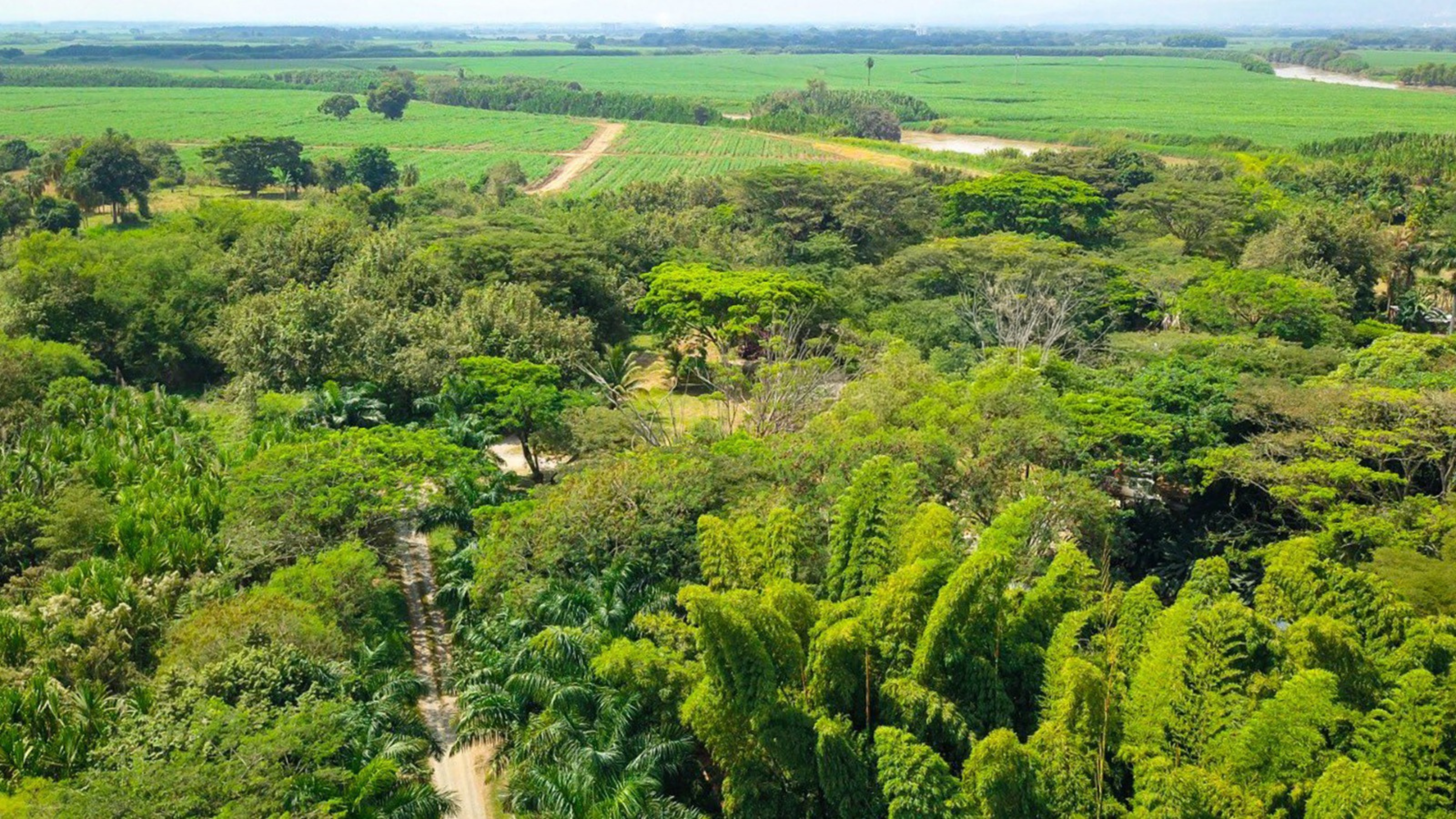 Enfrentamientos y amenazas bloquean restitución de tierras: 172.000 familias afectadas