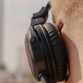 ¿Por qué hay personas a las que no les gusta la música?