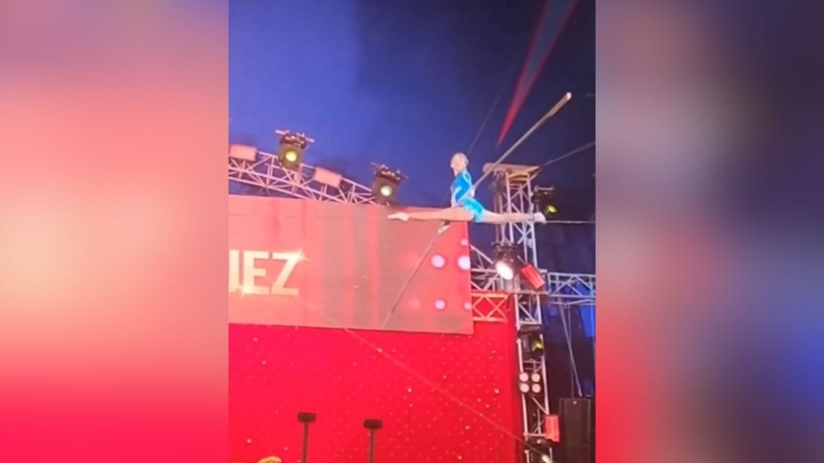 ¿La Carpa La 66 regresa a la Feria de Cali este diciembre? Conozca qué se sabe hasta ahora