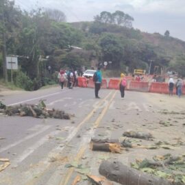 Tres días de bloqueos en la vía Panamericana desatan crisis en el Cauca