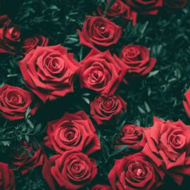¿Cuándo se celebra el Día del Amor y la Amistad en Colombia? Aquí detalles de la fecha
