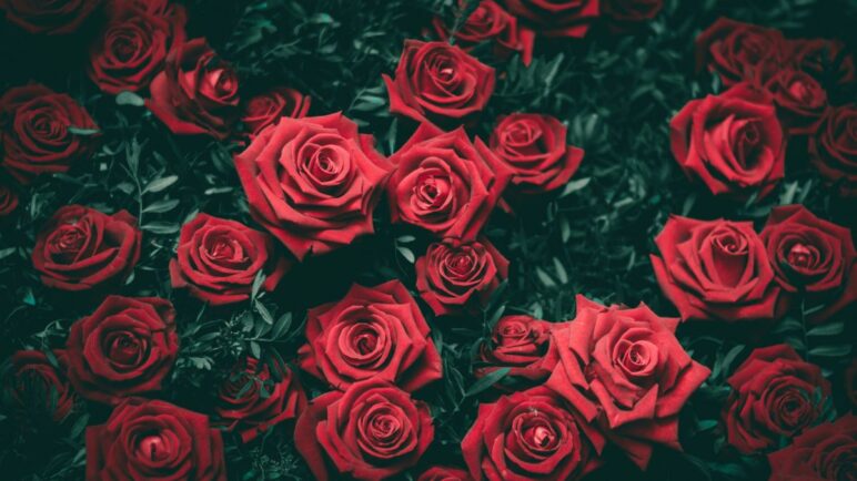 ¿Cuándo se celebra el Día del Amor y la Amistad en Colombia? Aquí detalles de la fecha