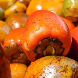 Cali Cocina 2025: tres días de sabores y cultura con chefs de talla mundial
