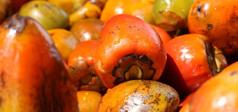 Cali Cocina 2025: tres días de sabores y cultura con chefs de talla mundial