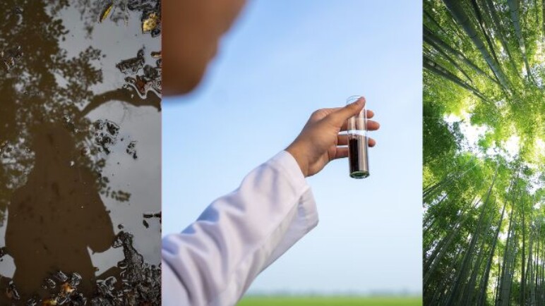 ¿Qué son los 'círculos de hadas'? Fenómeno natural que ha intrigado a científicos