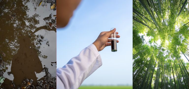 ¿Qué son los 'círculos de hadas'? Fenómeno natural que ha intrigado a científicos