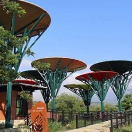 Así podrá visitar la segunda fase del Ecoparque de la Biodiversidad; hay link de registro