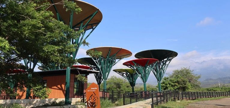 Cali vivirá la Semana de la Biodiversidad 2025: conozca los eventos que se realizarán