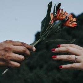 ¿Qué flores regalar en Amor y Amistad? Ojo a los significados e ideas