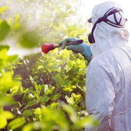 Alrededor de 1.700 hectáreas de cultivos ilícitos en Jamundí: Personero pide control del Estado