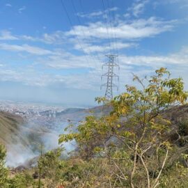 ¡Atención! Se registra un incendio forestal en la vía al mar