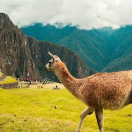 Las razones por las que Machu Picchu dejaría de ser considerada una 'Nueva Maravilla del Mundo'
