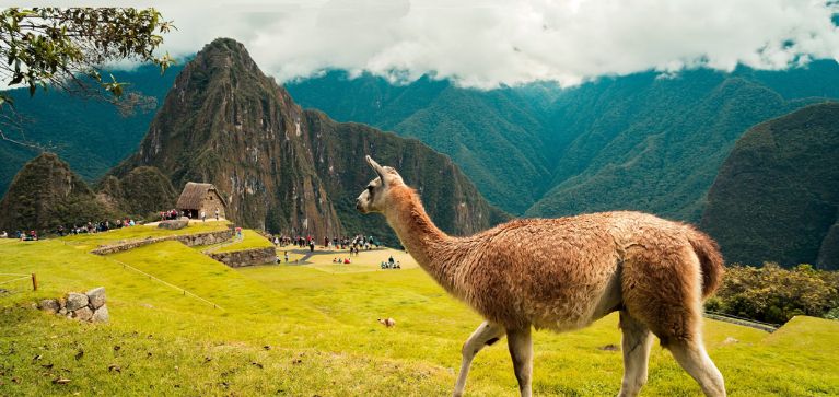 machu pichu