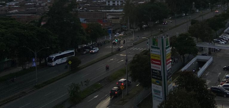 palmira